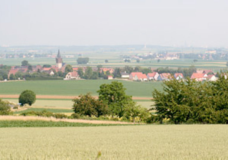 01 Schnersheim